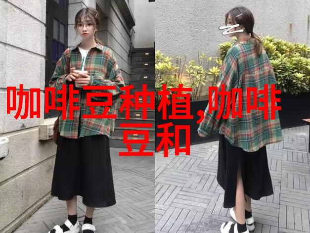 纯正柔和的圣多明各精品咖啡豆种植情况地理位置气候海拔简介